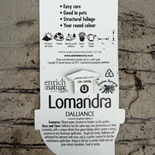 Load image into Gallery viewer, LOMANDRA DALLIANCE 1.5L
