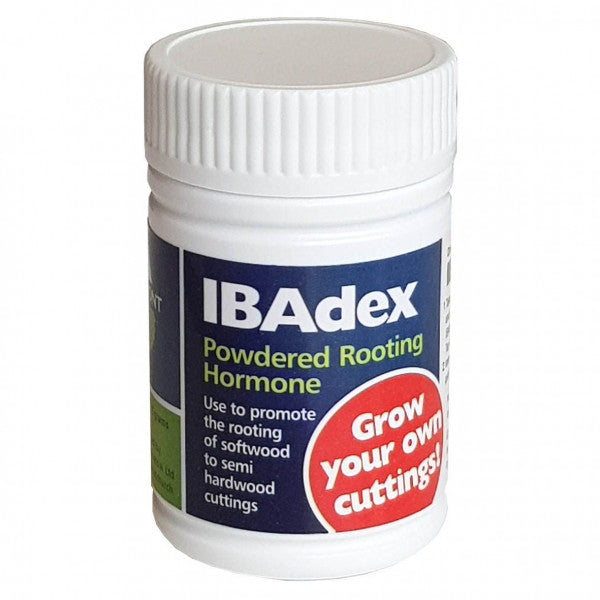 IBADEX ROOTING HORMONE 25G