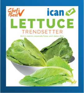 LETTUCE COS TRENDSETTER SEED