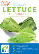 Load image into Gallery viewer, LETTUCE COS TRENDSETTER SEED
