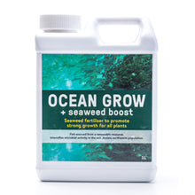 Load image into Gallery viewer, ICAN OCEAN GROW+SEAWEED 1L CONCENTRATE
