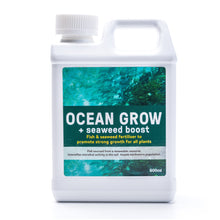 Load image into Gallery viewer, ICAN OCEAN GROW+SEAWEED 500ML CONCENTRATE
