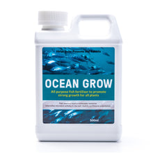 Load image into Gallery viewer, ICAN OCEAN GROW ORIGINAL 500ML CONCENTRATE
