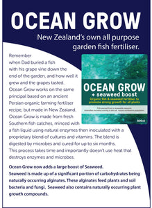 ICAN OCEAN GROW+SEAWEED 1L CONCENTRATE