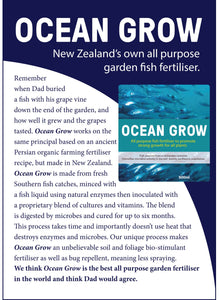 ICAN OCEAN GROW ORIGINAL 1L CONCENTRATE