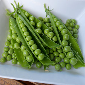 PEAS MAGIC SEED