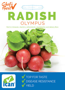 RADISH OLYMPUS SEED