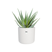 Load image into Gallery viewer, ELHO B. FOR SOFT ROUND COVER POT 35CM WHITE
