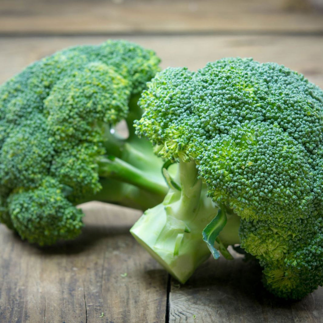 BROCCOLI SUMMER GREEN SEED