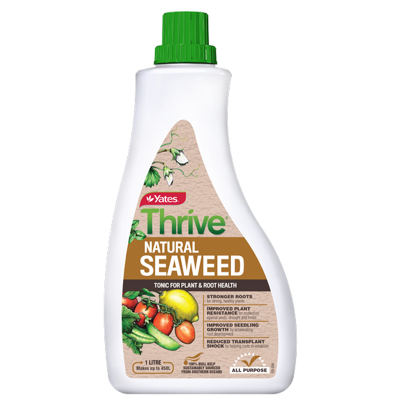 YATES THRIVE NATURAL SEAWEED TONIC 1L CONCENTRATE