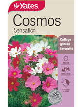 Load image into Gallery viewer, COSMOS SENSATION SEED
