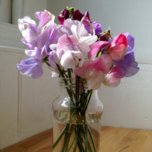 Load image into Gallery viewer, SWEET PEA LUCKY DIP SEED
