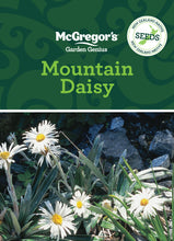 Load image into Gallery viewer, MOUNTAIN DAISY SEED
