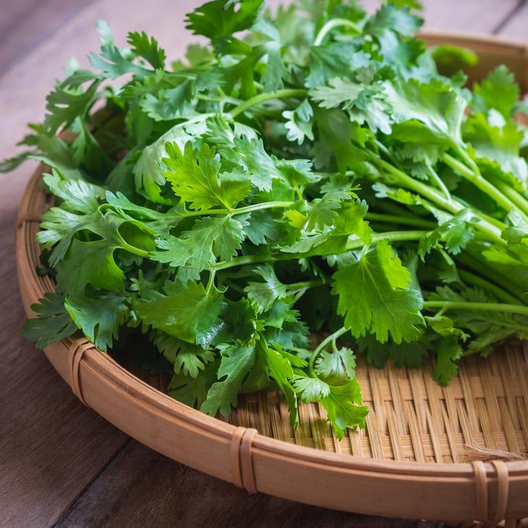 CORIANDER SEED