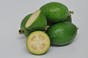 FEIJOA ARHART 6.0L