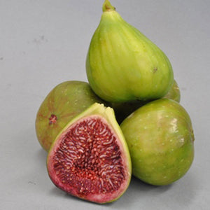 FIG CANDY 3.0L