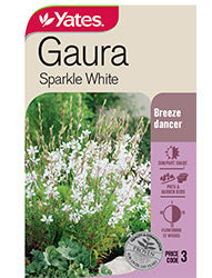GAURA SPARKLE WHITE SEED