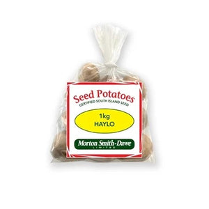 POTATO SEED HAYLO 1kg