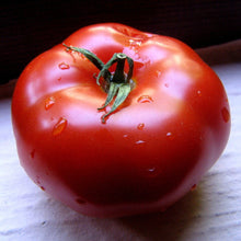 Load image into Gallery viewer, TOMATO BIG BEEF SEED
