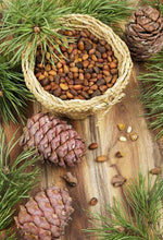 Load image into Gallery viewer, PINUS PINEA PINENUT 3.0L
