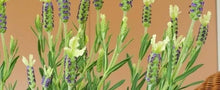 Load image into Gallery viewer, LAVENDER HYBRID PAT LEIGH 1.5L
