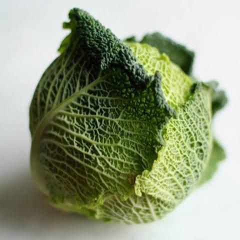 CABBAGE SAVOY KING SEED