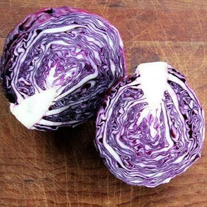 CABBAGE RED MINI SEED