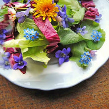 Load image into Gallery viewer, EDIBLE FLOWER MIX SEED

