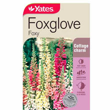 Load image into Gallery viewer, FOXGLOVE FOXY SEED
