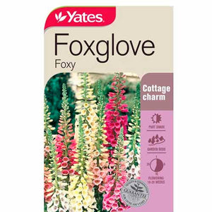 FOXGLOVE FOXY SEED