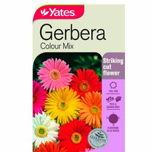 Load image into Gallery viewer, GERBERA COLOUR MIX SEED
