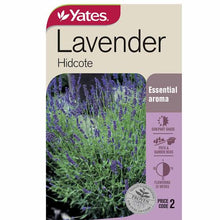 Load image into Gallery viewer, LAVENDER HIDCOTE SEED
