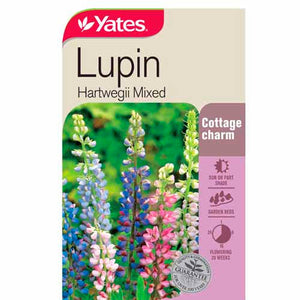 LUPIN HARTWEGEII MIX SEED