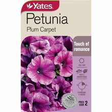 Load image into Gallery viewer, PETUNIA PLUM CARPET SEED
