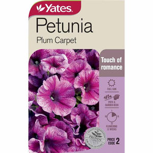 PETUNIA PLUM CARPET SEED