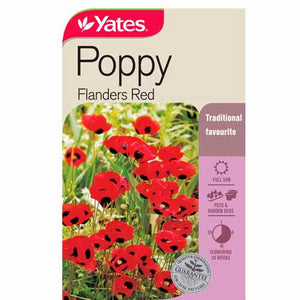 POPPY FLANDERS RED SEED