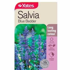 SALVIA BLUE BEDDER SEED