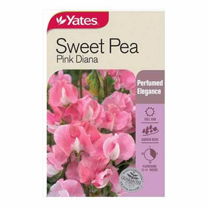 SWEET PEA PINK DIANA SEED