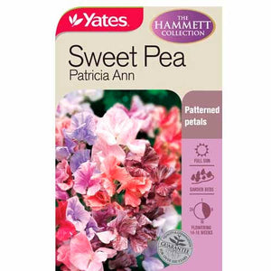 SWEET PEA PATRICIA ANN SEED