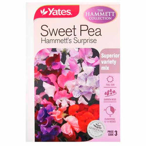 SWEET PEA HAMMETS SURPRISE SEED