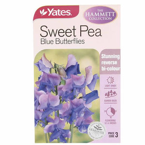 SWEET PEA BLUE BUTTERFLY SEED