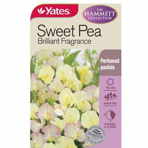 SWEET PEA BRILLIANT FRAGRANCE SEED