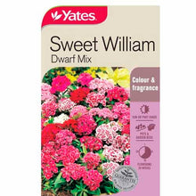 Load image into Gallery viewer, SWEET WILLIAM DWARF MIX SEED
