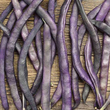 Load image into Gallery viewer, BEANS CLIMBING PURPLE KING SEED
