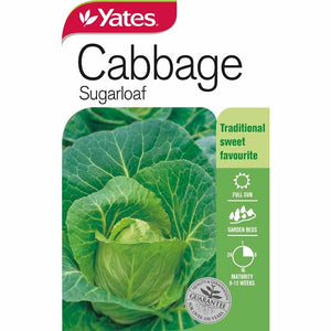 CABBAGE SUGARLOAF SEED