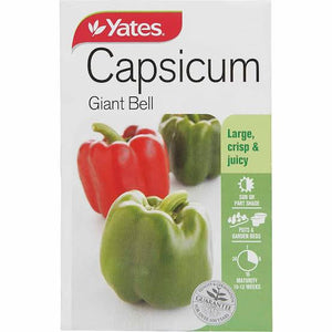 CAPSICUM GIANT BELL SEED