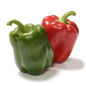 CAPSICUM GIANT BELL SEED