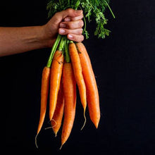 Load image into Gallery viewer, CARROT MANCHESTER TABLE SEED
