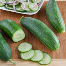 Load image into Gallery viewer, CUCUMBER BURPLESS SEED
