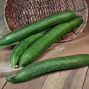 CUCUMBER LONG GREEN SEED